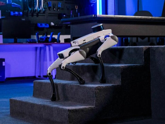 WLKATA March X Pro LiDAR Kit - Robotic Dog - Quadruped Robot, Sim2Real Depth Camera LiDAR SDK AI