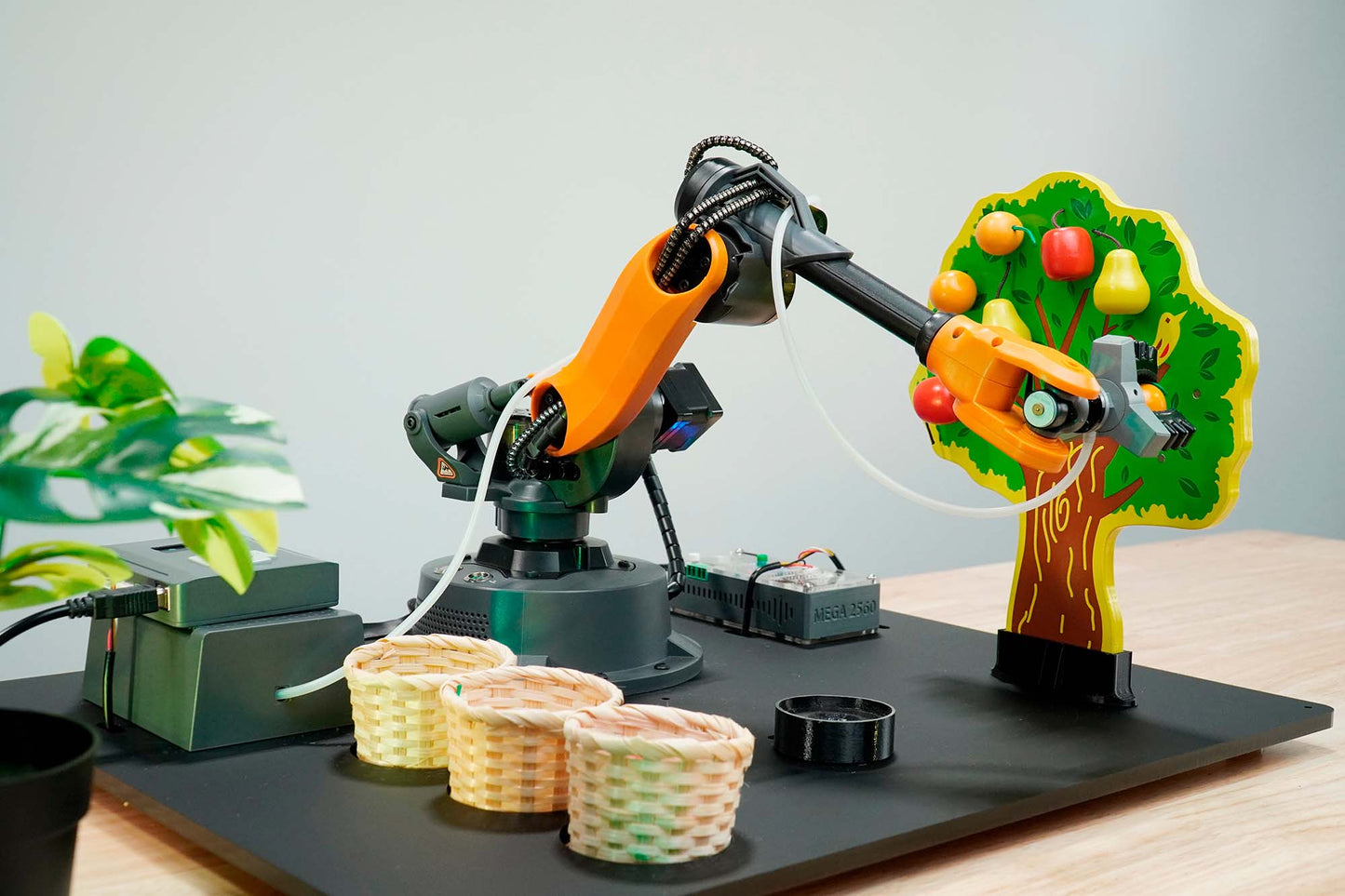 Educational Programmable Robotics Simulation Fruit Picking Line