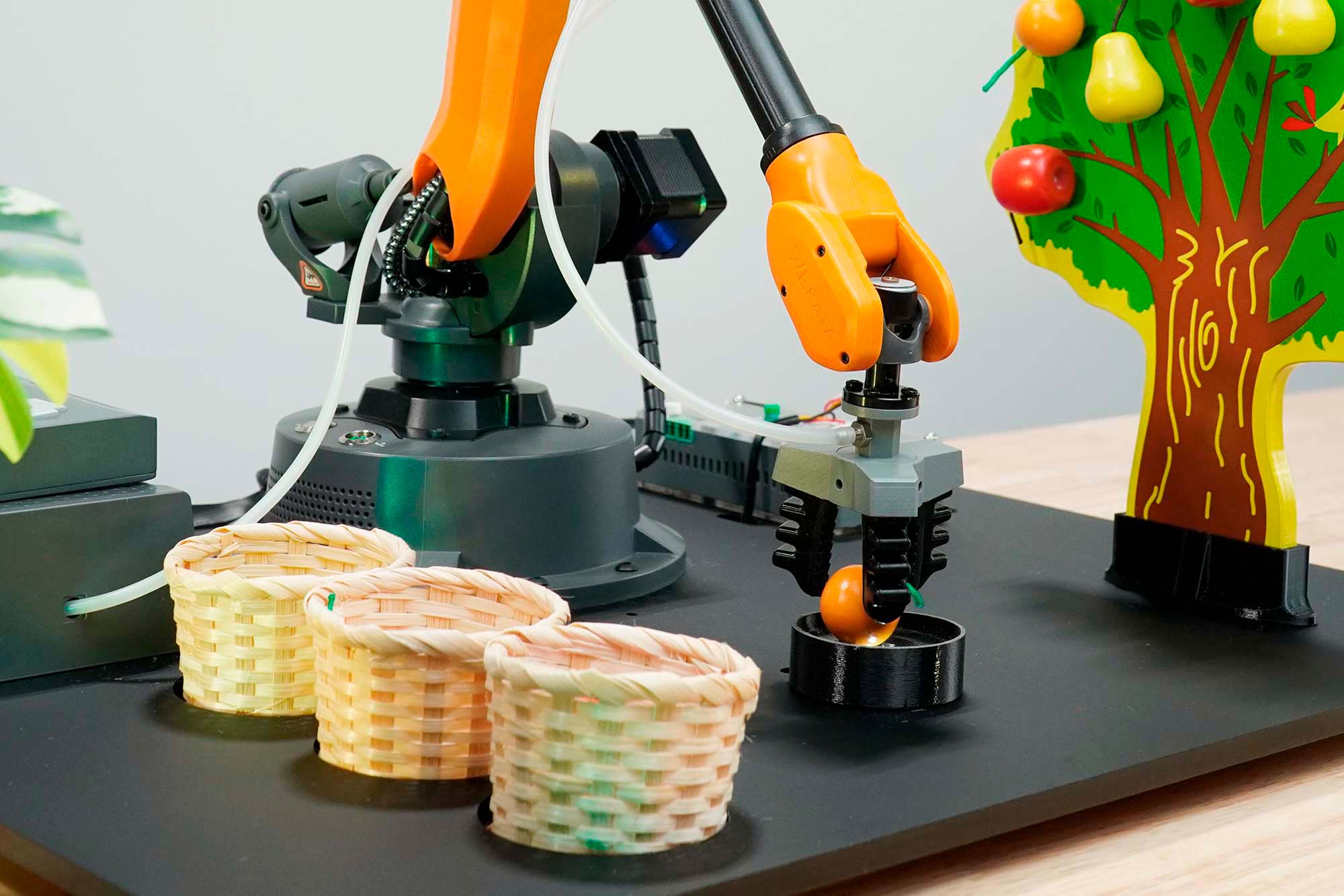 Educational Programmable Robotics Simulation Fruit Picking Line