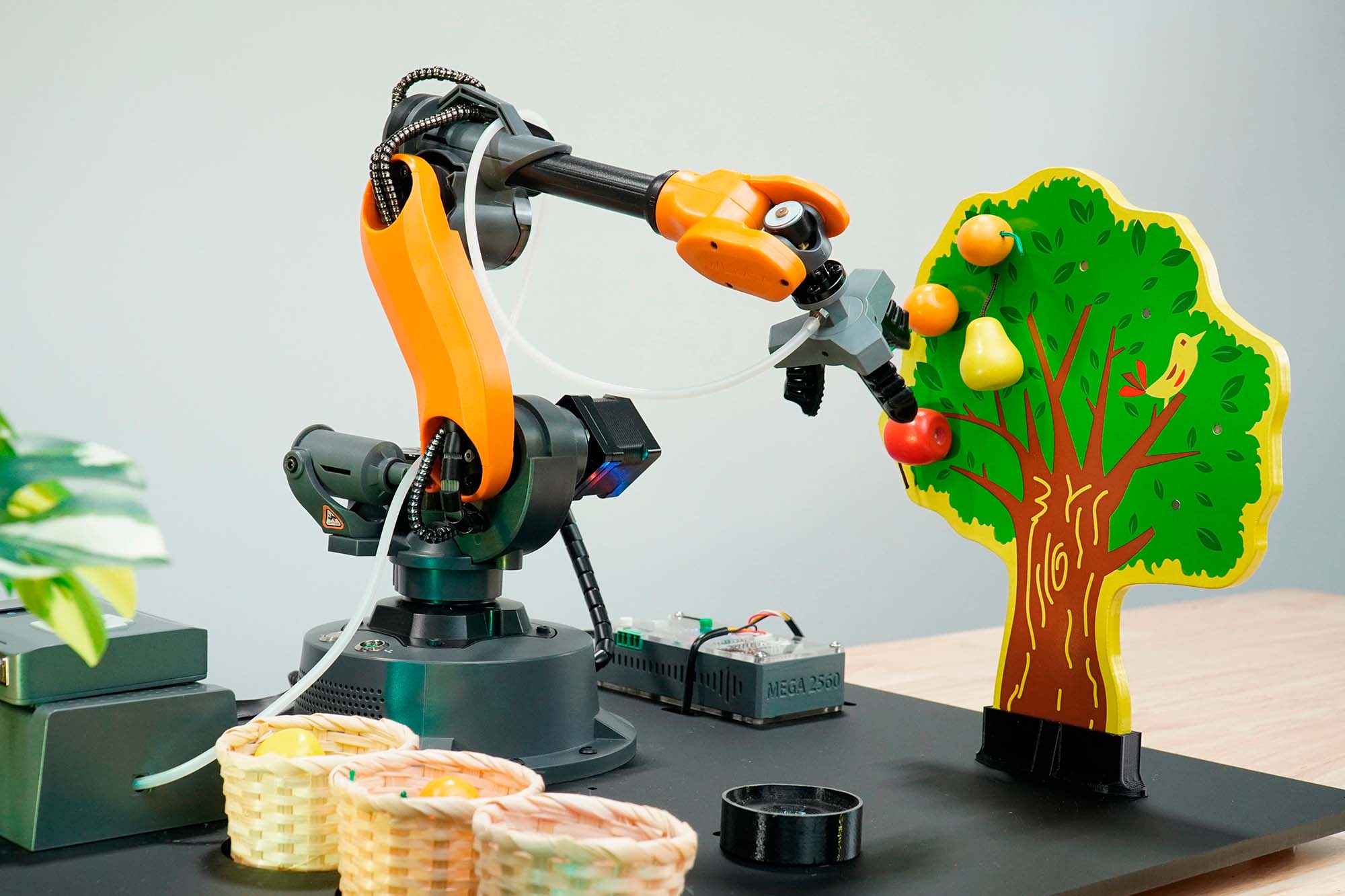 Educational Programmable Robotics Simulation Fruit Picking Line