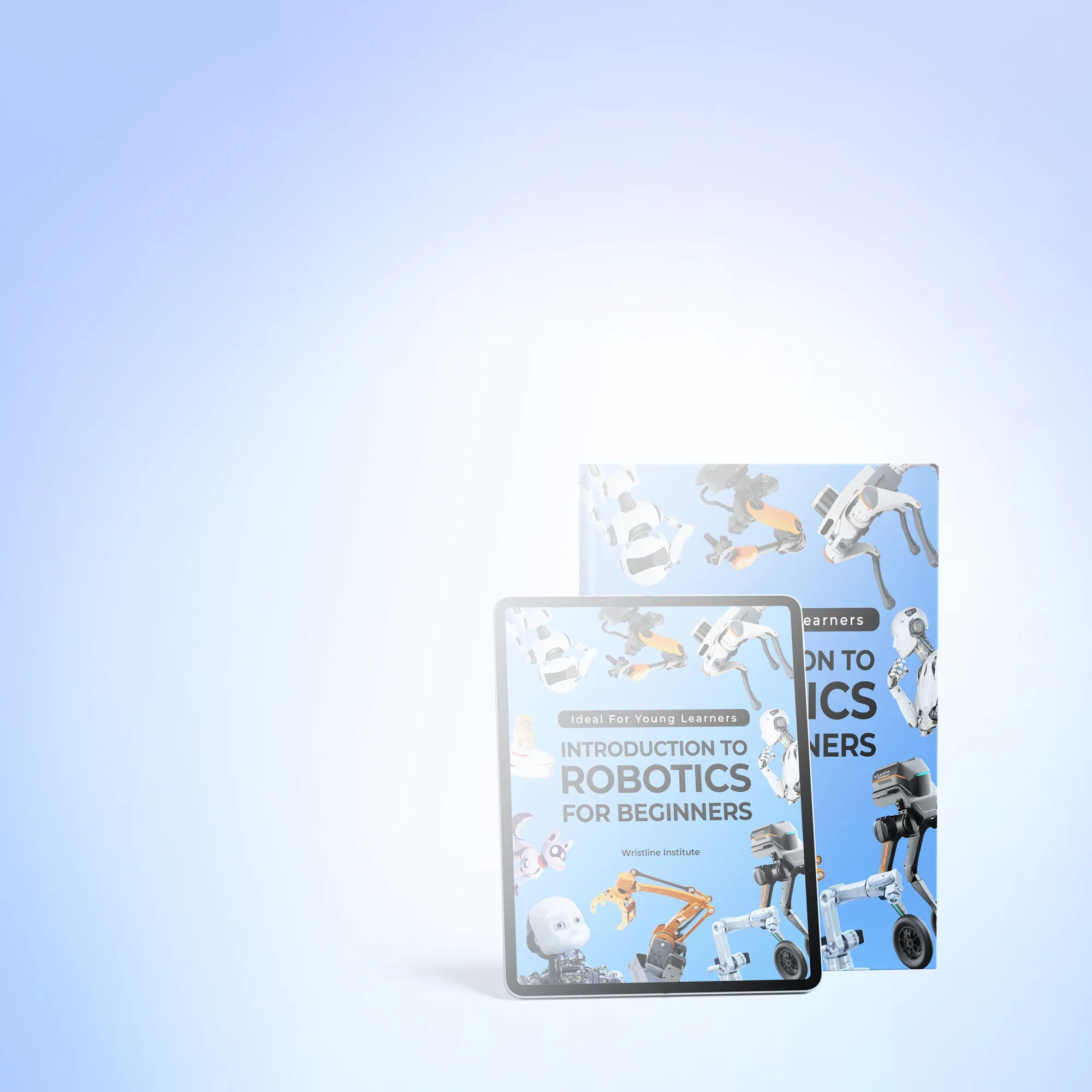 MT4 Middle & High School Curriculum