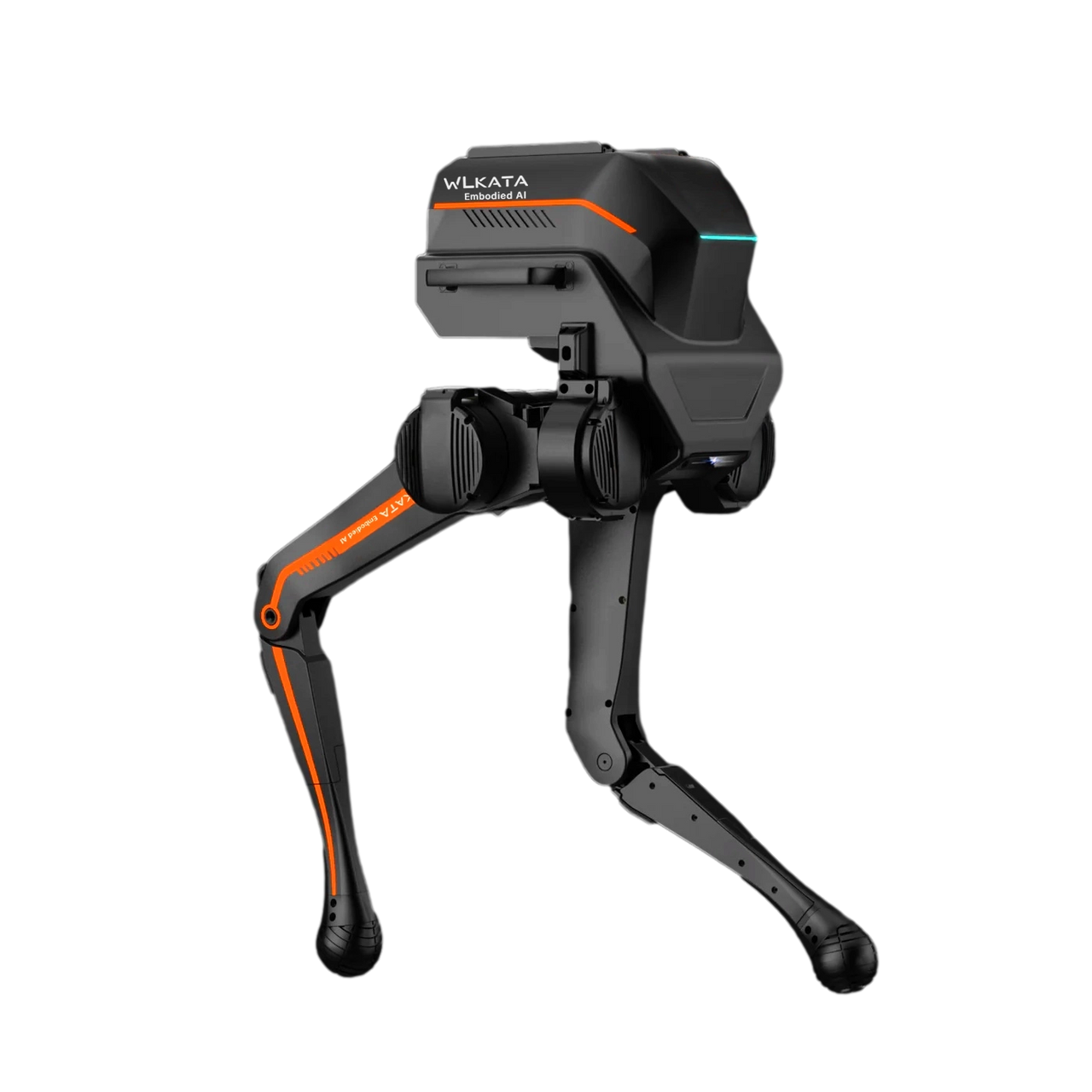 WLKATA BRAVE Edu Kit - Biped Robot Sim2Real Multi-modal RGBD Camera SDK Reinforcement Learning