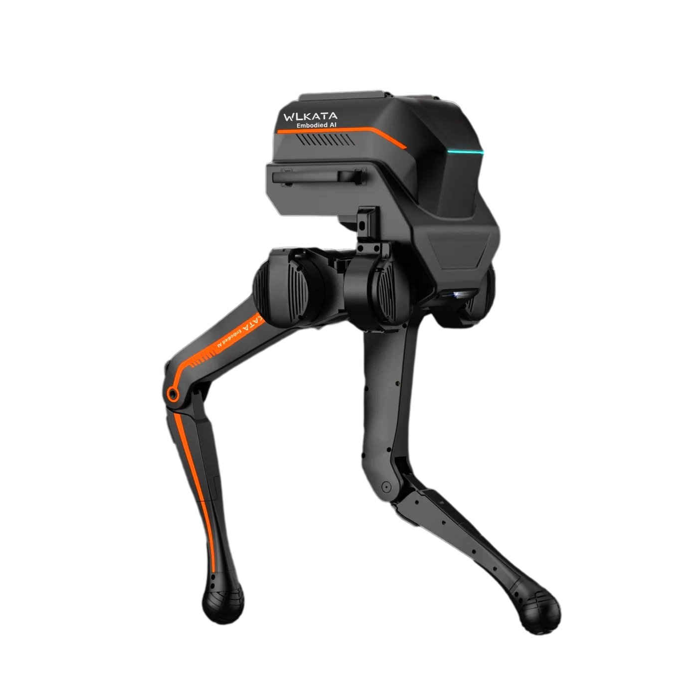 WLKATA BRAVE Edu Kit - Biped Robot Sim2Real Multi-modal RGBD Camera SDK Reinforcement Learning