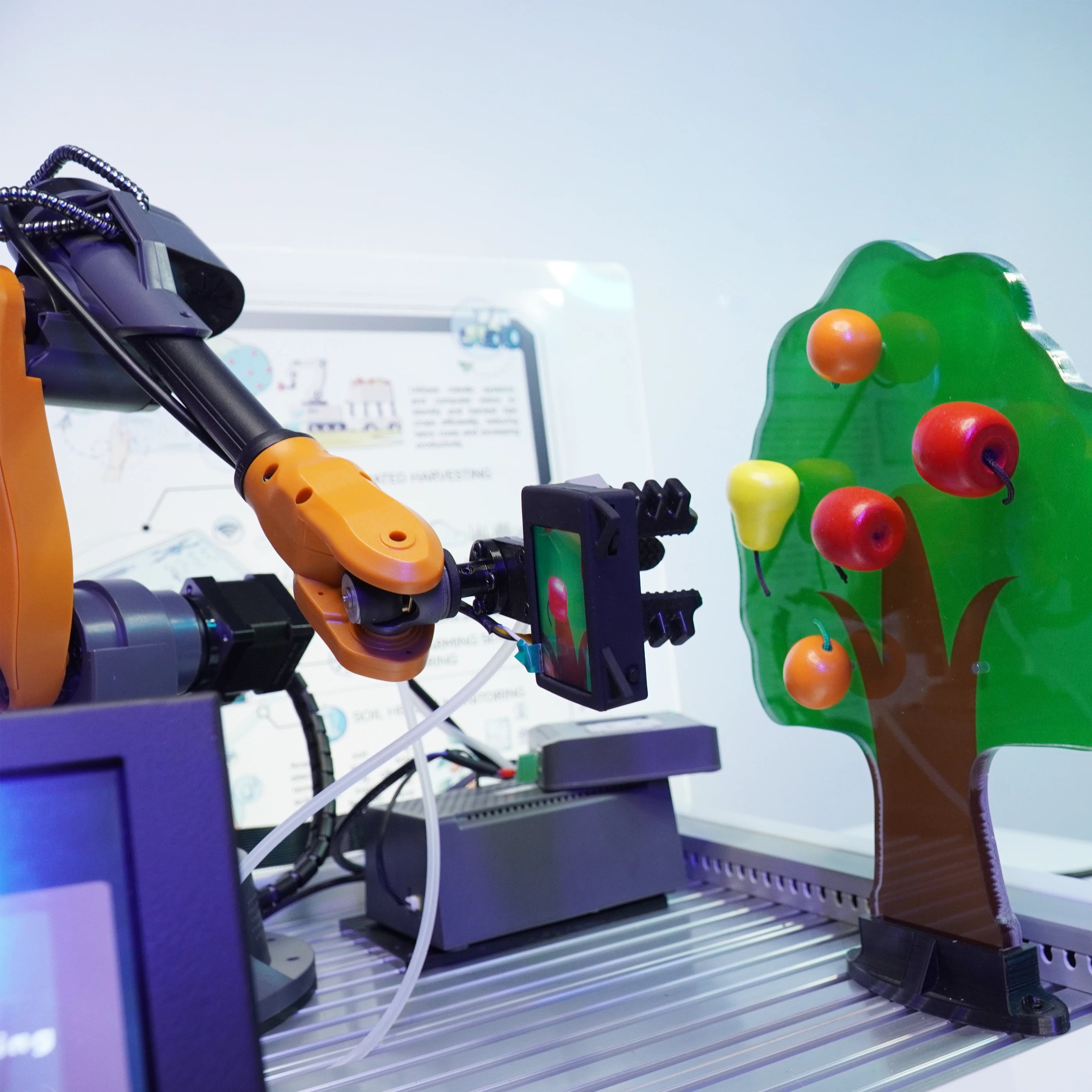 Fruit Picking Cell (Mirobot) | AI  Vision Touch Screen | WLKATA