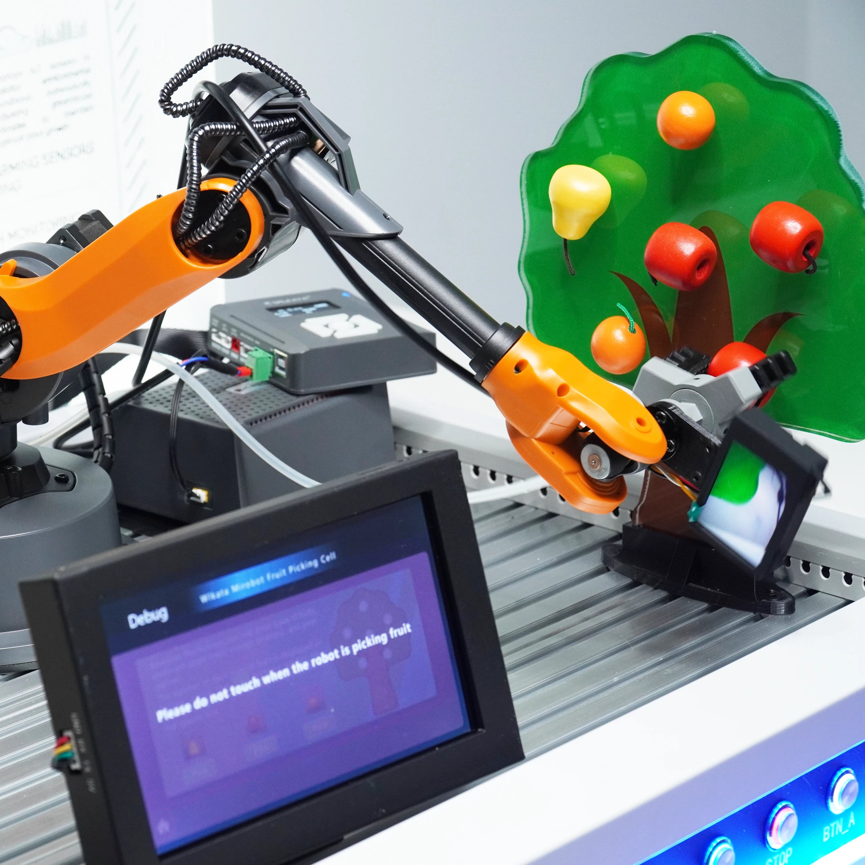 Fruit Picking Cell (Mirobot) | AI  Vision Touch Screen | WLKATA