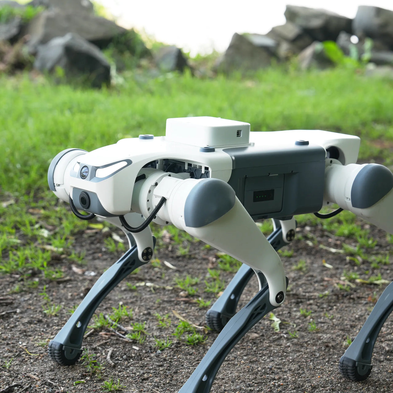 WLKATA March X Pro LiDAR Kit - Robotic Dog - Quadruped Robot, Sim2Real Depth Camera LiDAR SDK AI