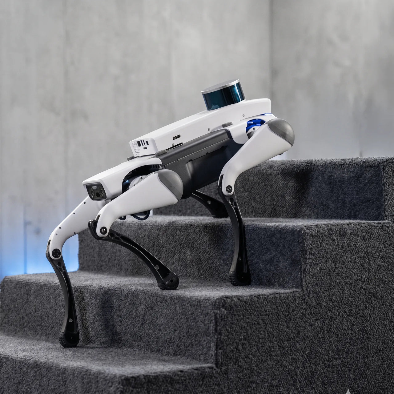 WLKATA March X Pro LiDAR Kit - Robotic Dog - Quadruped Robot, Sim2Real Depth Camera LiDAR SDK AI