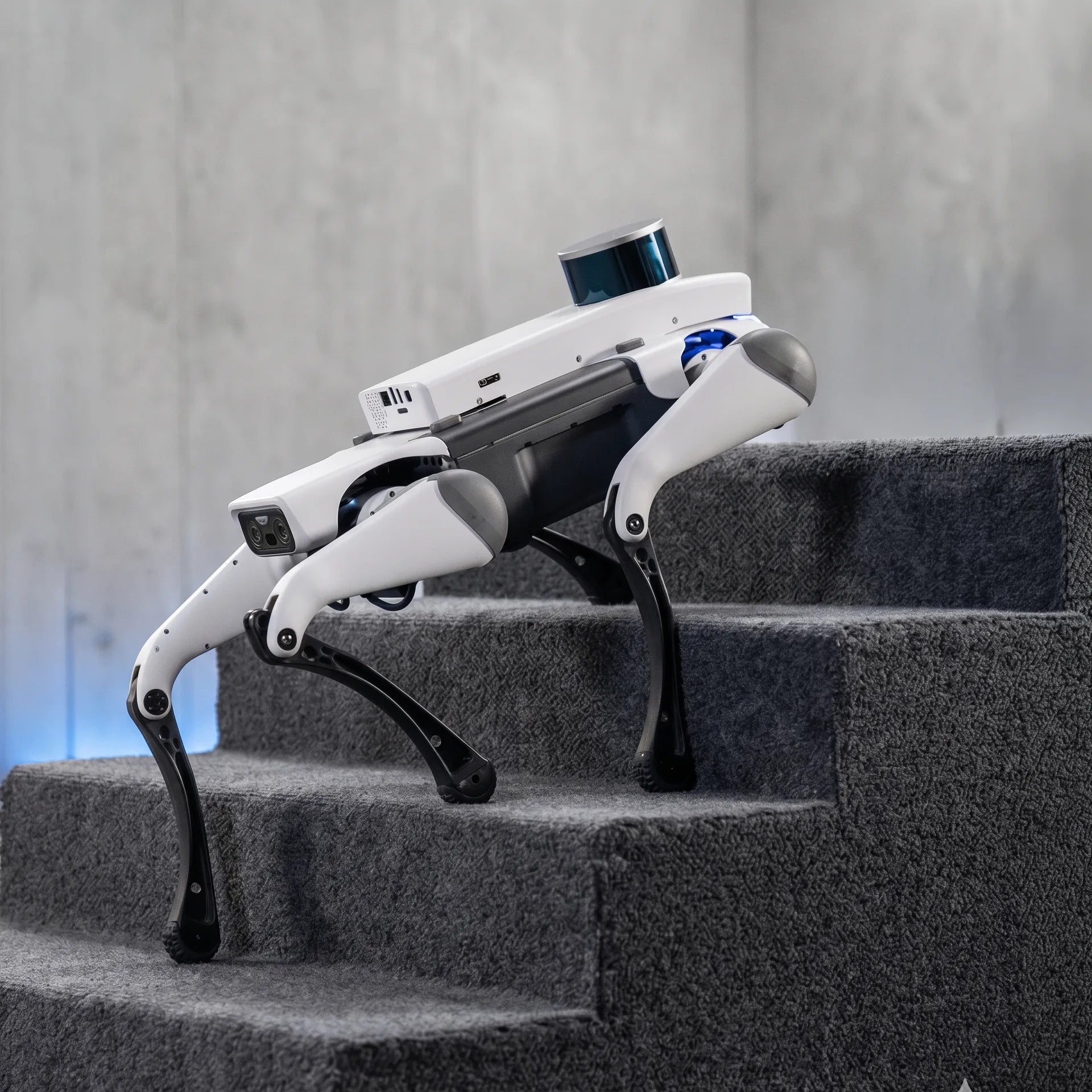 WLKATA March X Pro LiDAR Kit - Robotic Dog - Quadruped Robot, Sim2Real Depth Camera LiDAR SDK AI