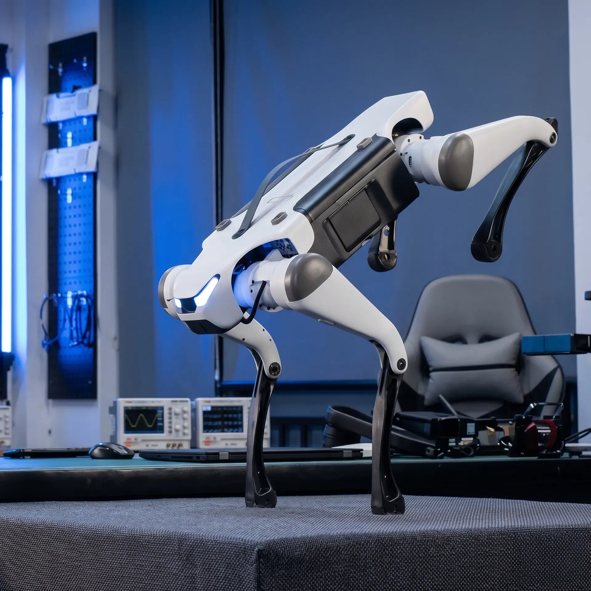 WLKATA March X Pro LiDAR Kit - Robotic Dog - Quadruped Robot, Sim2Real