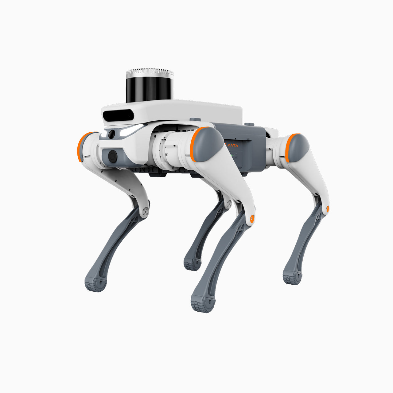 WLKATA March X Pro LiDAR Kit - Robotic Dog - Quadruped Robot, Sim2Real Depth Camera LiDAR SDK AI