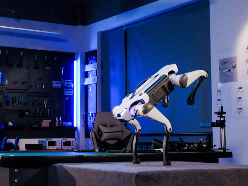 WLKATA March X Pro LiDAR Kit - Robotic Dog - Quadruped Robot, Sim2Real Depth Camera LiDAR SDK AI