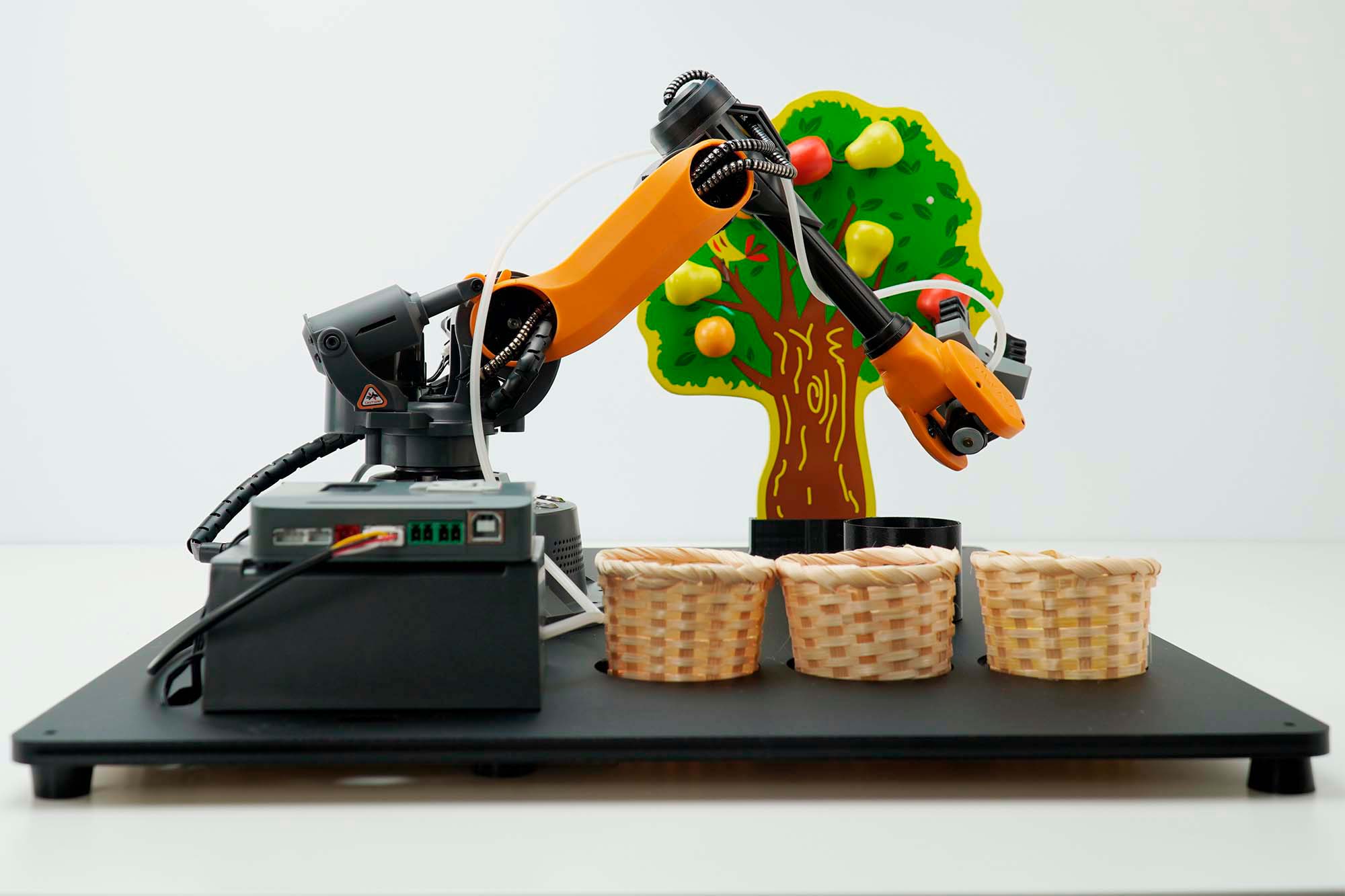 Educational Programmable Robotics Simulation Fruit Picking Line
