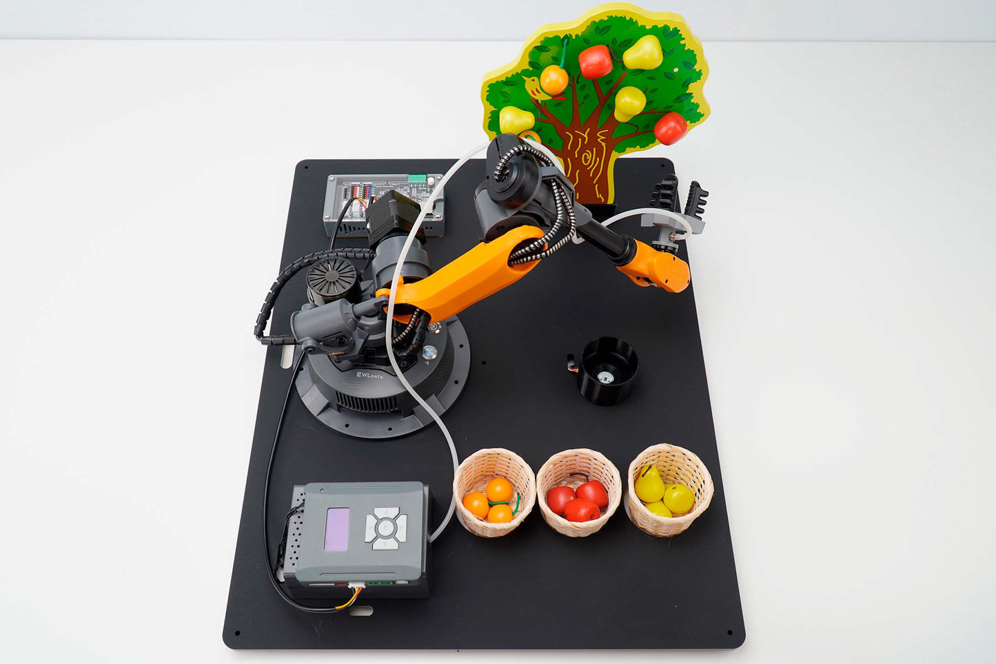 Educational Programmable Robotics Simulation Fruit Picking Line